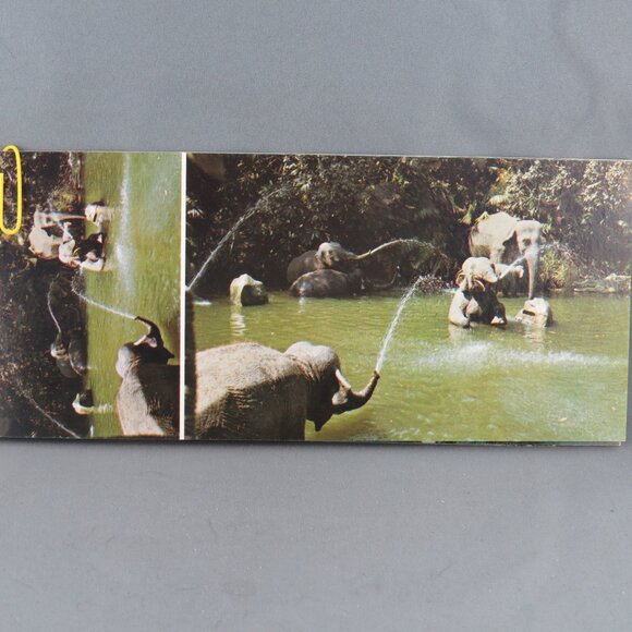 Vintage Postcard Set - Adventureland Disneyland 8 Pack - Walt Disney Productions - Picture 4 of 9